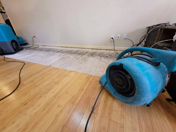 Professional Burst Pipe Water Damage technician working in Elkwood, VA